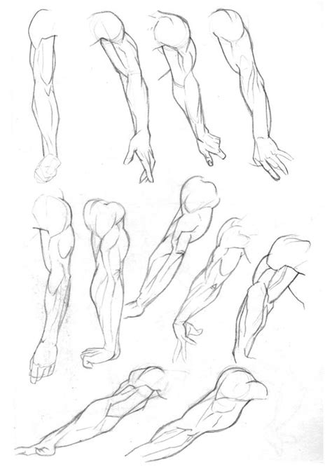I'll touch on some basics and then we'll draw a simple muscular figure and a step 18. references-arms65