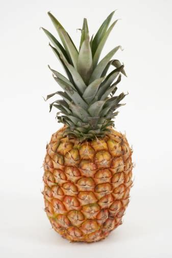Their leaves are kind of sharp. How to tell if a pineapple is ripe - Quora