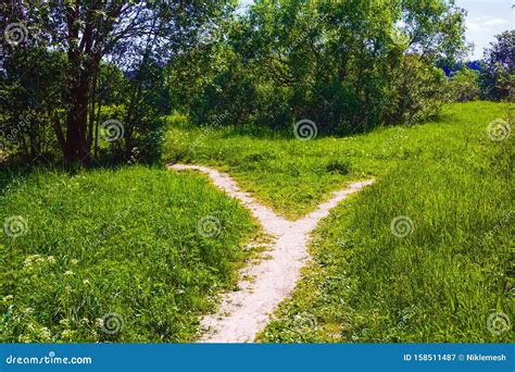 Two Diverging Paths In A Lush Green Park In Sydney Stock Photography