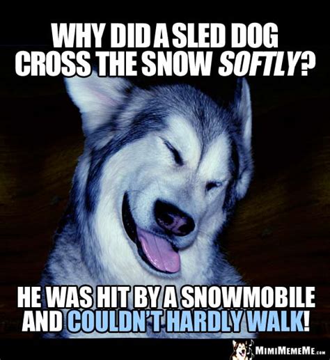 Sled Dog Jokes Funny Snow Dogs Husky And Malamute Humor Pg 1 Of 2