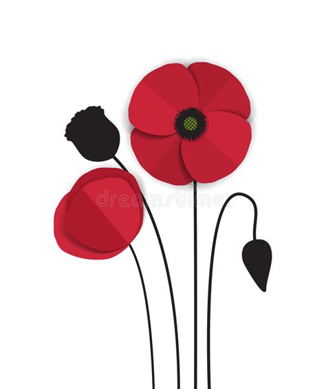 Red Poppy Stock Vector Illustration Of Bouquet Decorative 54756242