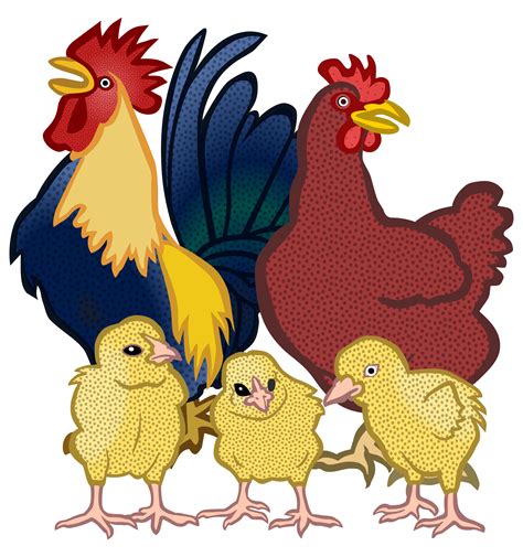 Hen Clipart Chick Clipart Hen Chick Transparent Free For Download On