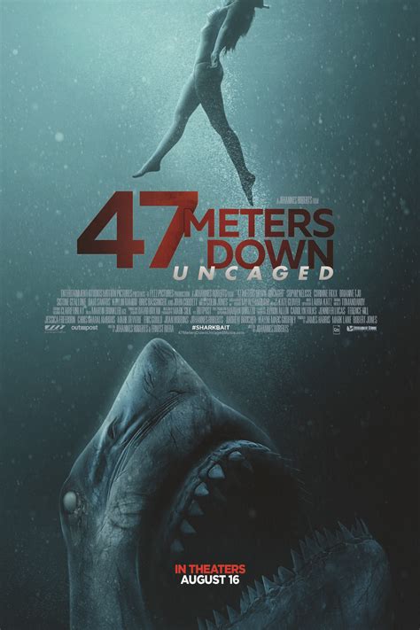 Affiche Du Film 47 Meters Down Uncaged Photo 19 Sur 20 Allociné