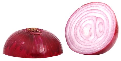Collection of HQ Onion PNG. | PlusPNG png image