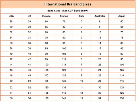 Bra Size Calculator And Measurement Tool Get Accurate Fitting