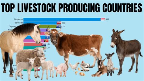 Livestock Production By Country Worlds Livestock Production Ranking