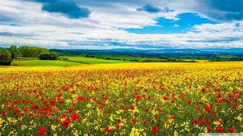 Spring Fields Wallpapers Wallpaper Cave