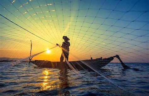 Las 5 Características Más Importantes De La Pesca Sostenible Ecotrendies