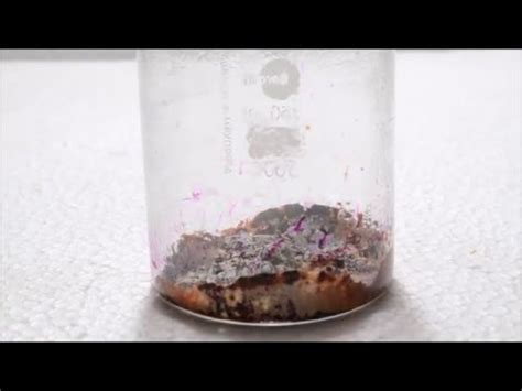 In particular, its reaction with solid oxalic acid dihydrate can be initiated by the moisture in. Reaction of Potassium Permanganate and Oxalic Acid - YouTube