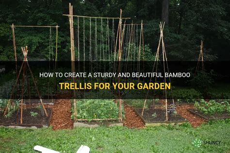 How To Create A Sturdy And Beautiful Bamboo Trellis For Your Garden