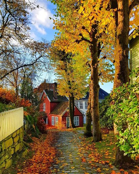 Norway Norge Travel On Instagram Beautiful Autumn Colors In