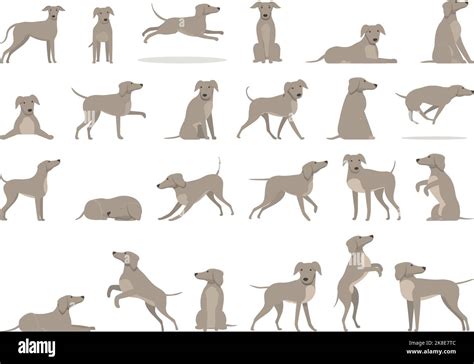 Greyhound Icons Set Cartoon Vector Animal Breed Canine Dogs Stock