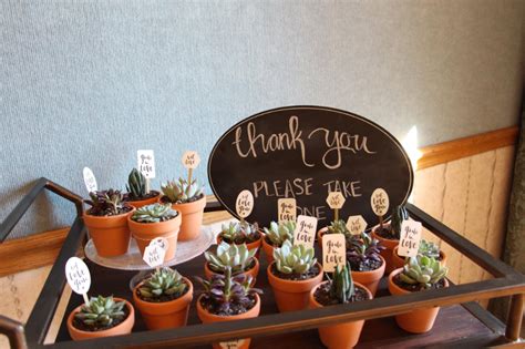 There Are Many Succulents In The Pots On This Tray With A Sign That
