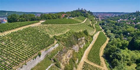 Wohngrundrisse wenden sich von der straße ab, orientieren sich allesamt zum weinberg mit der bekannten lage „innere leiste, an deren oberen ende die festung marienberg thront. Würzburger Innere Leiste Silvaner trocken - Erste Lage