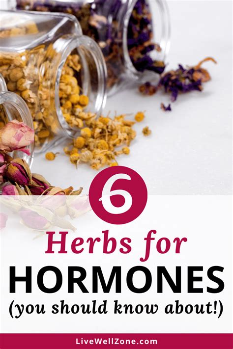 Herbs That Balance Hormones That You Re Probably Not Using Artofit