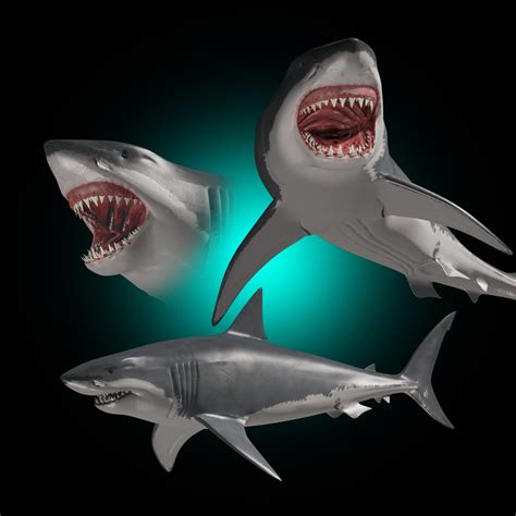 Jaws 3d Animated Great White Shark 3d Model In Shark 3dexport