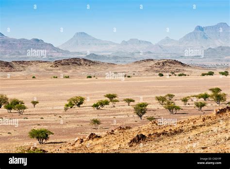 Damaraland Kunene Region Namibia Africa Stock Photo Alamy