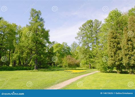 Spring Park With Walkway Stock Photo Image Of Lawn Green 14613626
