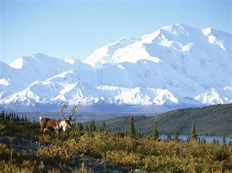 Snow Capped Mountain Alaska Wallpaper Free Downloads