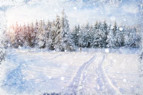 Winter Road Beautiful Color High Res Stock Image Colourbox