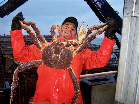 Alaskas Crab Fishery Canceled For The First Time Since 1994 National