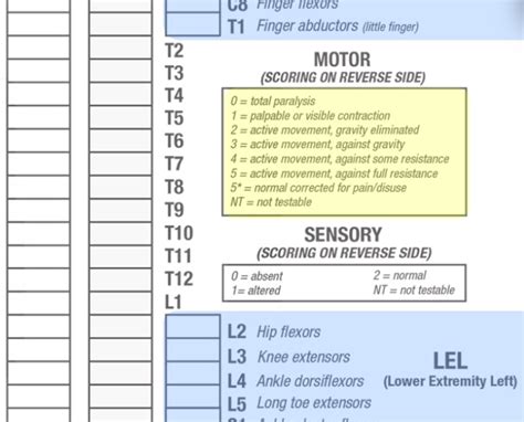 American Spinal Injury Association Asia Impairment Scale Physiopedia