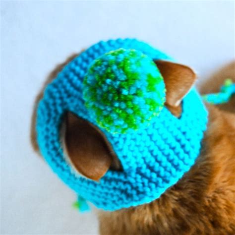 Pom Pom Cat Hat Teal And Lime Green Hand Knit Cat By Bitchknits