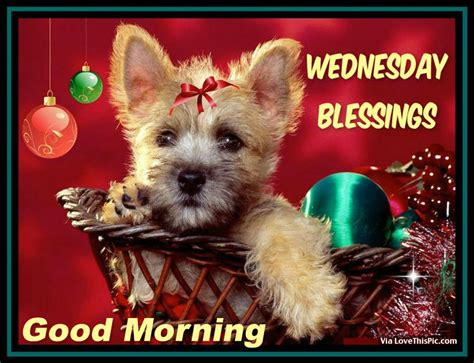 Wednesday Blessings Good Morning Pictures Photos And