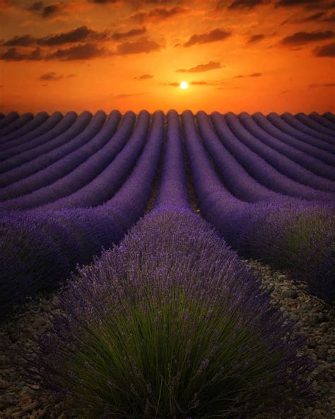 Kenan Hurdeniz On Instagram Provence France Nature Landscape