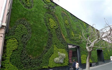 Green Walls How To Create A Living Landscape Or Wallscape