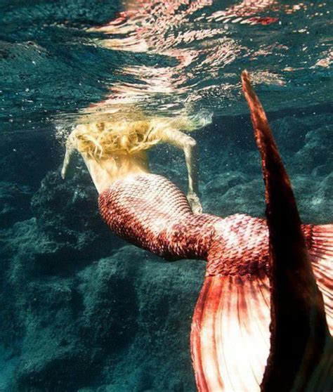 Lista 98 Foto Imagenes De Sirenas Reales Encontradas Vivas En El Mar Cena Hermosa