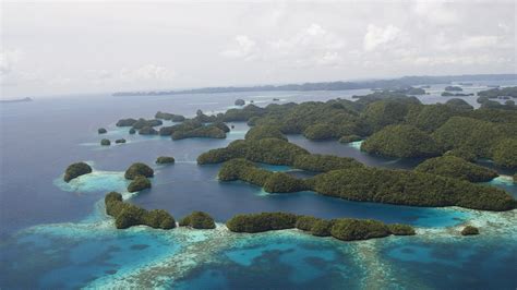 Palau National Marine Sanctuary Becomes Sixth Largest In The World