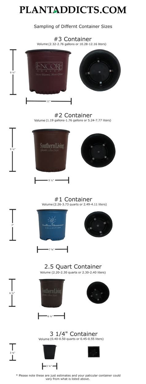 A guide to ordering proven winners plants online. Container Sizes