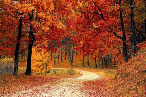 How To Find Wisconsins Best Fall Foliage Tmj4 Milwaukee Wi