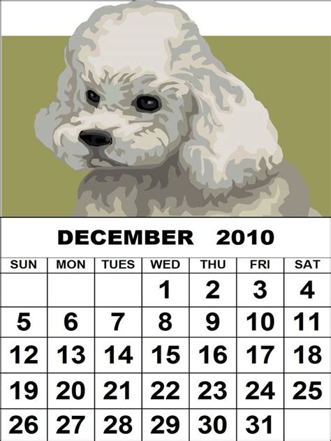 Qetupa December 2010 Calendar