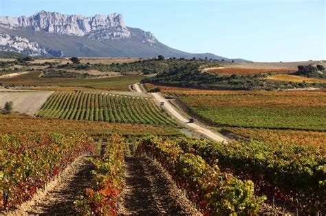 The Harvest In Rioja Alavesa A Pleasure For Visitors Biosphere