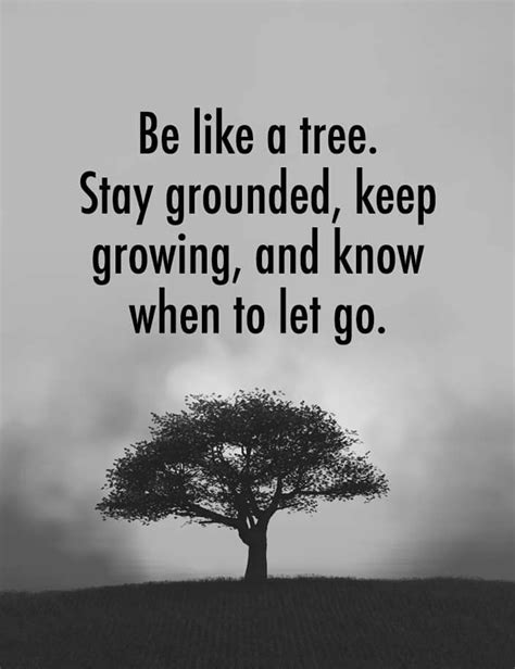 Be Like A Tree Stay Grounded Keep Growing And Know When To Let Go