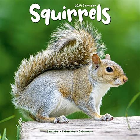 Squirrel Calendar Cute Animal Calendar Calendars 2023 2024 Wall