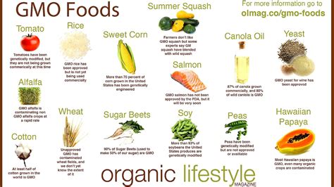 Health Effects Of Genetically Modified Foods Effect Choices