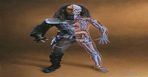 Can Somebody Demonstrate How Accurate This Klingon Anatomy Is Startrek