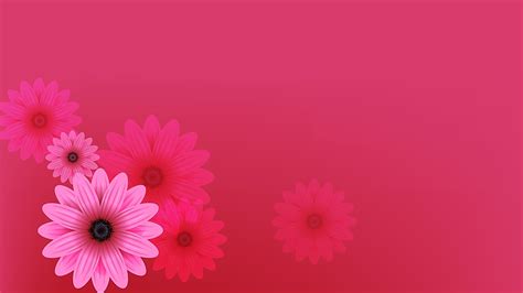 Beautiful Pink Flowers Ppt Backgrounds A Total Of 2 High Definition