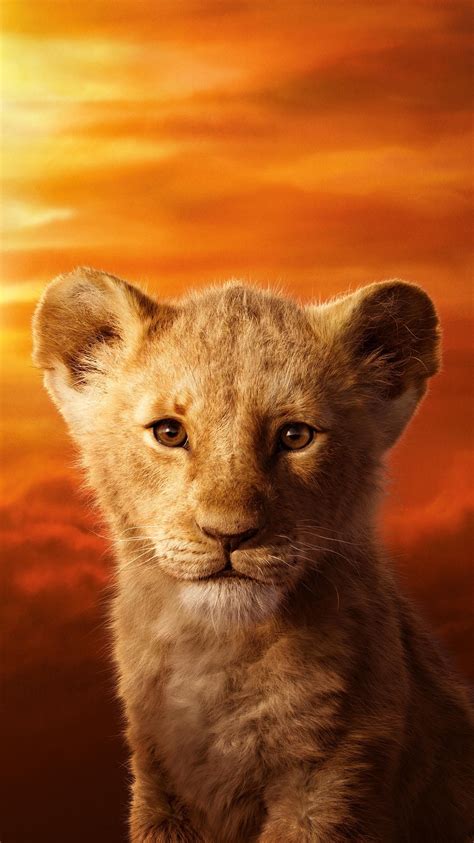 The Lion King 2019 Phone Wallpaper Moviemania Lion King Pictures