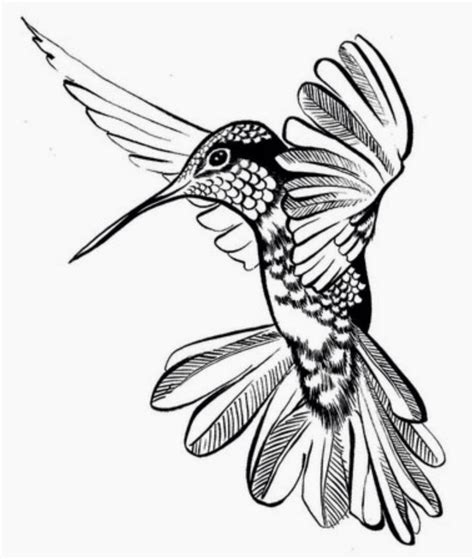Hummingbird outline tattoo on shoulder. 23 best Hummingbird Outline Tattoo images on Pinterest ...