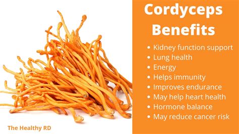 9 Best Cordyceps Supplement Brands Health Benefits The Healthy Rd