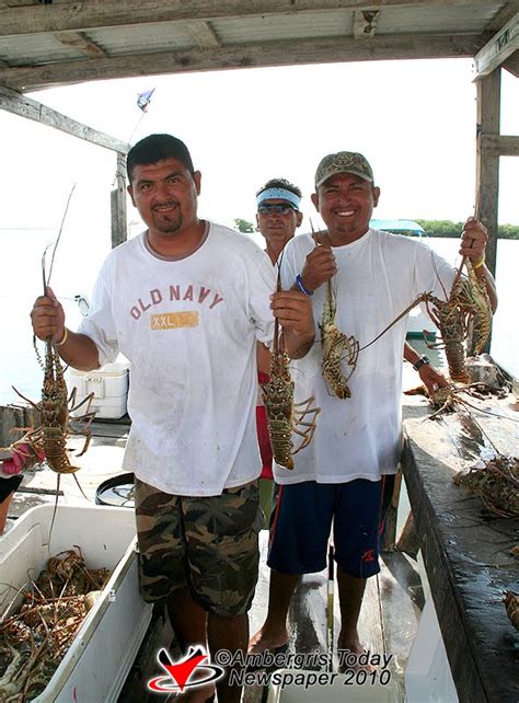 Lobster Season Opens Ambergris Caye Belize Message Board