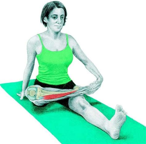 Tibial Anterior Stretching Exercises Yoga Anatomy Yoga Poses