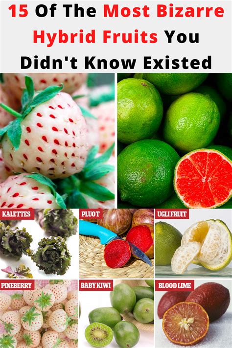 15 Of The Most Bizarre Hybrid Fruits You Didnt Know Existed Fruit
