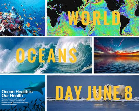 Celebrate World Oceans Day Tp Mechanical