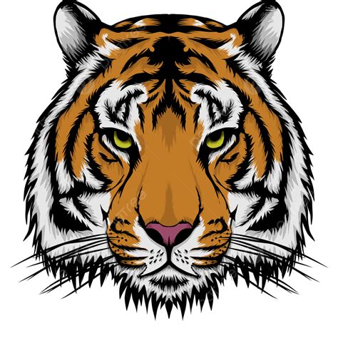 Tiger Day Png Image Tiger Vector Material For Day Tiger Day Vector