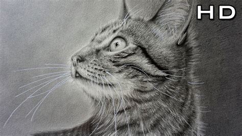 Imagenes De Gatitos Para Dibujar A Lapiz Faciles Como Dibujar Un Gato